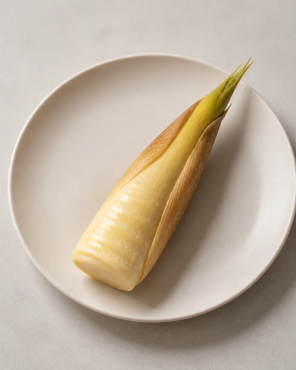 筍